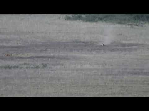 Видео: Ветер 8м.с. Возможна ошибка в дистанции 992м.?! (Fed.140SMK не для 1000м.)