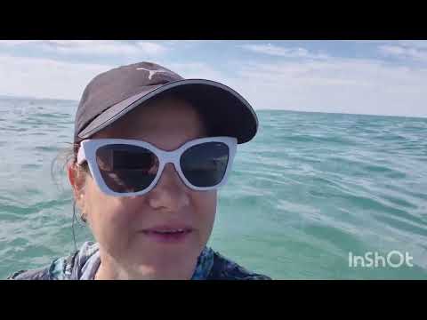 Видео: Алаколь август 2025 г.AQUAMARINE resort