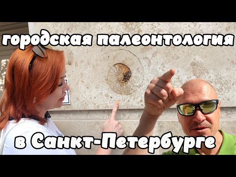 Видео: ГОРОДСКАЯ ПАЛЕОНТОЛОГИЯ В САНКТ- ПЕТЕРБУРГЕ