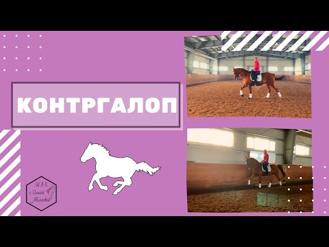 Видео: КОНТРГАЛОП