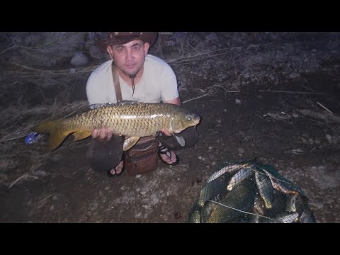 Видео: Огромный Сазан Выезд На Байтал  Байтал Рыбалка  огонь. 