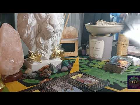 Видео: Их затянуло неконтролируемое желание токсичных удовольствий и многочисленных любовников.