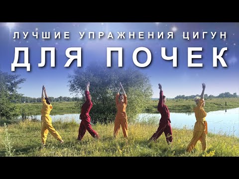 Видео: Лучшие Упражнения Цигун для Почек