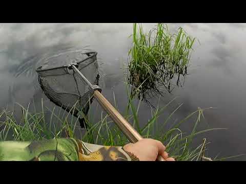 Видео: Рыбалка с двуя ночевками на Луге.