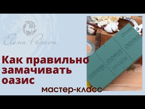 Видео: Флористическая пена или губка. Мастер класс. Как правильно замачивать оазис для цветов