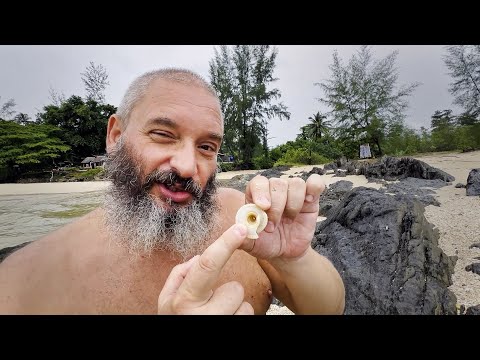 Видео: Таиланд. Обитатели побережья Андаманского моря
