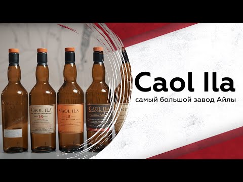 Видео: Самая большая дистиллерия Айлы: говорим про Caol Ila