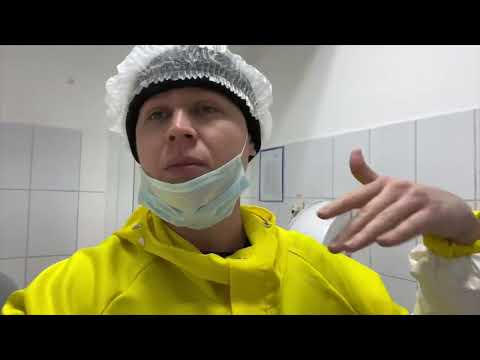 Видео: РАБОТА НА МЯСКОМБИНАТЕ - АГРОХОЛДИНГ ЮРМА (Перезалив)