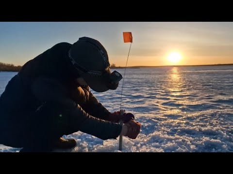 Видео: ПОСЛЕДНИЙ ЛЁД! РЫБАЛКА С НОЧЁВКОЙ!