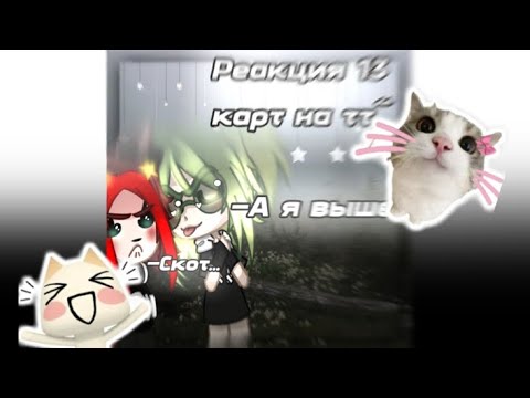 Видео: РЕАКЦИЯ 13 КАРТ на ТИК ТОК! (В основном на Вару) #13карт #гача #реакция
