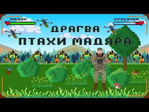 Видео: Драгва - Птахи Мадяра