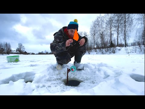 Видео: 3 ДУПЛЕТА. ЩУКА просто бесится. Лучшая рыбалка за 3 сезона!