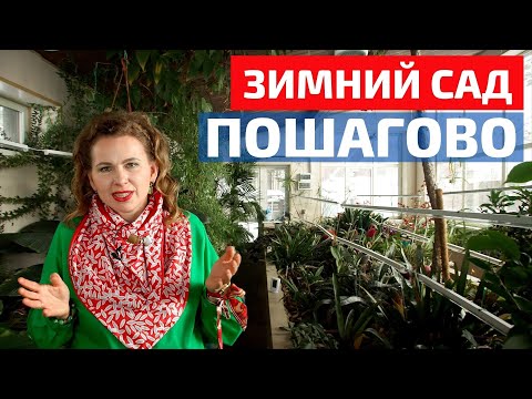 Видео: Все о ландшафтном дизайне: зимний сад с нуля за 190 000 рублей // FORUMHOUSE