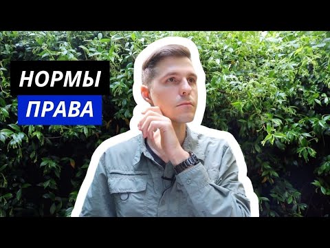 Видео: ТГП || 8. Нормы права