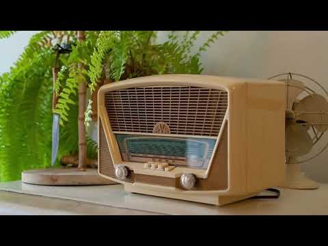 Видео: Mashrab Ermatov kuylaydi. Машраб Эрматов куйлайди.