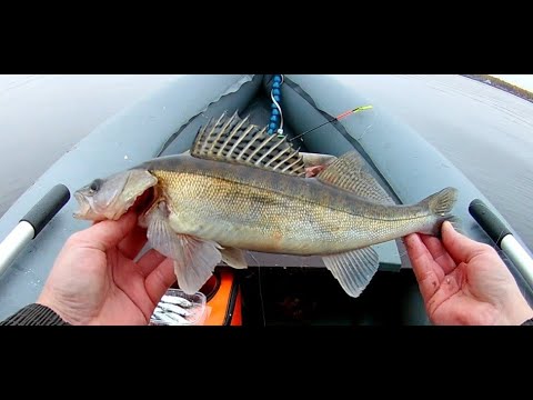 Видео: ЛОВЛЯ СУДАКА ДЕДОВСКИМ СПОСОБОМ.Ставлю поставушки