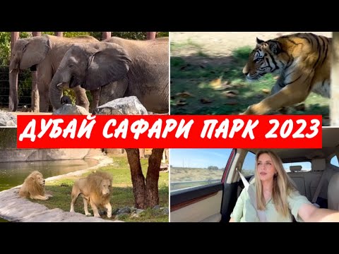 Видео: ДУБАЙ САФАРИ ПАРК / ВСЁ ЧТО НУЖНО ЗНАТЬ / SAFARI PARK DUBAI #сафарипарк #дубай