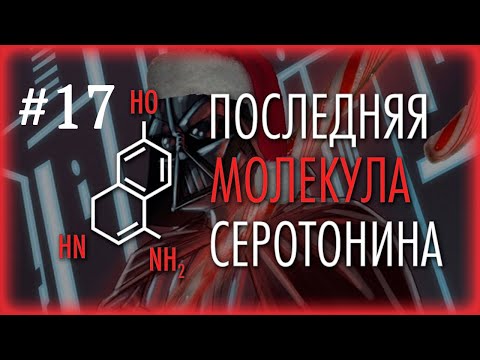 Видео: "Красота требует кэш", большой обзор передачи | ПМС #17