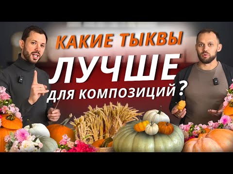 Видео: 🌺 ТЫКВЫ С ЦВЕТАМИ: ПРАКТИЧЕСКИЕ ФИШКИ и ЛАЙФХАКИ от FLOBRO! Сорта тыкв, плюсы/минусы. Закупка и цена