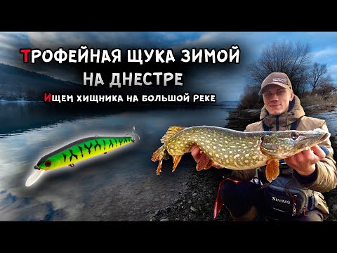 Видео: ТРОФЕЙНАЯ ЩУКА ДНЕСТРА! Как и где искать хищника на большой реке? Зима 2022!