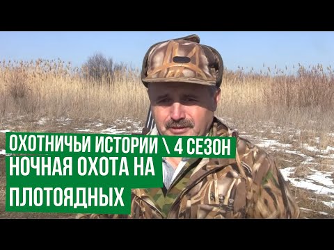 Видео: Ночная охота на плотоядных \ Охотничьи истории \ Сезон 4  (2 серия)