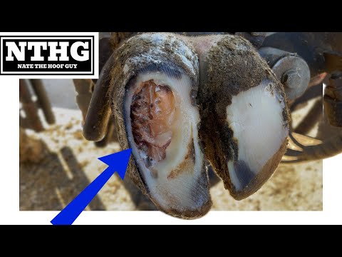 Видео: Это действительно СЛОЖНО