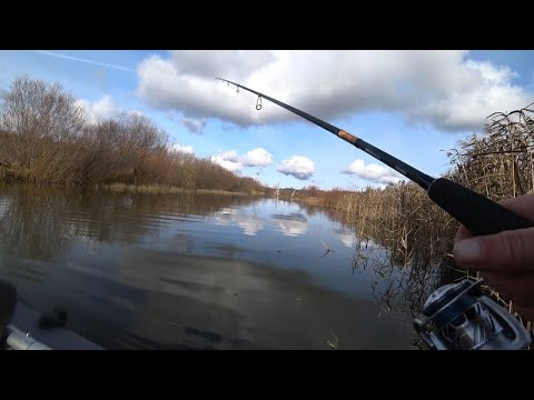 Видео: Джиг! Осенняя рыбалка на пруду! Ловля щуки на джиг
