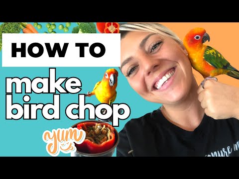 Видео: Простое руководство: как приготовить отбивную для вашей птицы