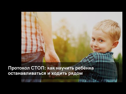 Видео: Протокол СТОП: как научить ребёнка останавливаться и ходить рядом