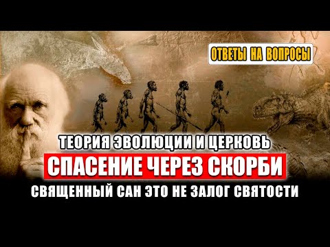 Видео: Ломки из-за борьбы со страстями. Поклонение мощам и иконам. Лечу руками, не от зла ли этот дар?
