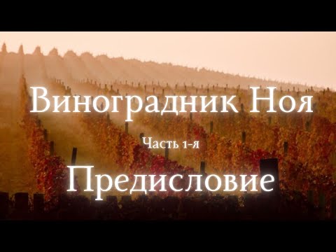 Видео: Тора. Глава Ноах. Ошибка праведника. Предисловие - Часть 1-я. Раввин Реувен Смолькин.