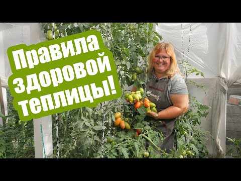 Видео: Обработайте ТЕПЛИЦУ осенью! Что нужно сделать в теплице после уборки урожая