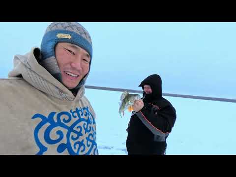 Видео: ПЕРВЫЙ ЛЕД 2026 Якутия РЫБАК Данил из Мытищи на рыбалке.