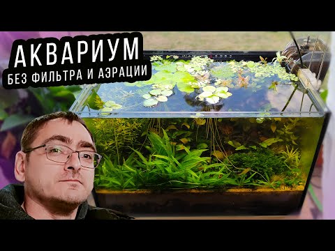 Видео: Аквариум на песке без фильтра, аэрации и обогревателя через 2 месяца! Хорошо это или плохо? 4К