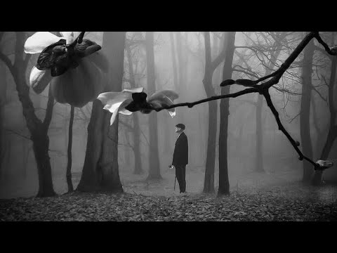 Видео: 💥 Что Он думает о Вас рядом с другой 🤔