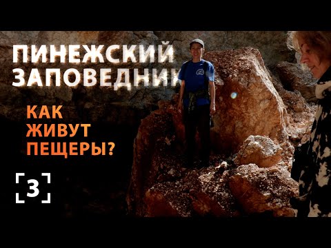Видео: Есть ли жизнь на карсте?! 140 пещер Пинежского заповедника.