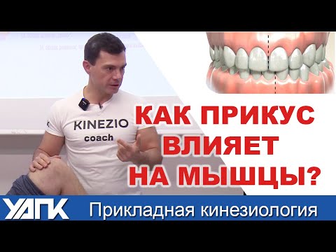 Видео: Как прикус влияет на мышцы? (Глеб Кирдогло)