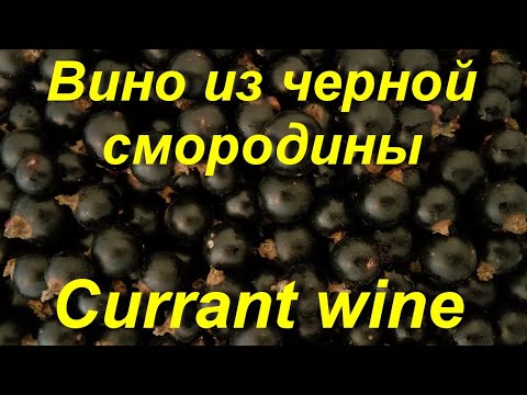 Видео: Вино из черной смородины / Black currant wine