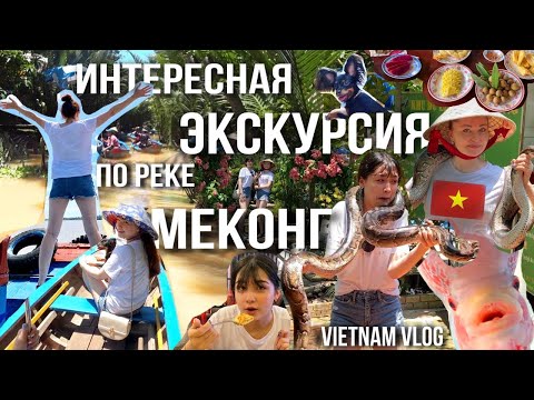 Видео: Вьетнам! Необычная экскурсия по реке Меконг/Змеи, кокосы, еда и многое другое!!!/День 2/VIETNAM VLOG