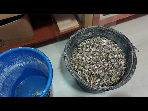 Видео: ЗАПУСКАЮ АКВАРИУМ ДЛЯ БУДУЩИХ ПРОИЗВОДИТЕЛЕЙ.