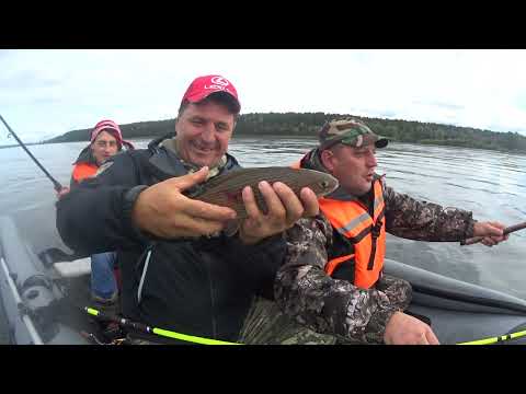 Видео: Отличная рыбалка на хариуса в д Кононово