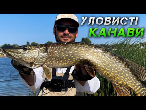 Видео: ✅ КАНАВИ КИШАТЬ ЩУКОЮ | РОЗДАЧА НА ТЕЧІЇ ✅