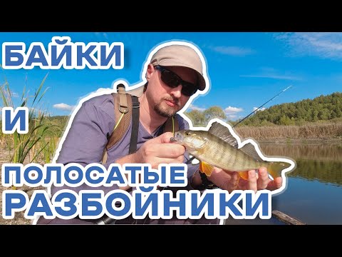 Видео: р.Байки. Микроджиговые окуни и разведка новых мест.