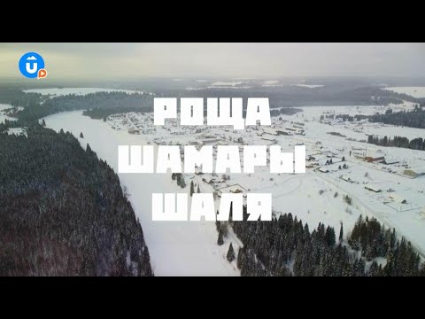 Видео: Шаля — «Навигатор Live»