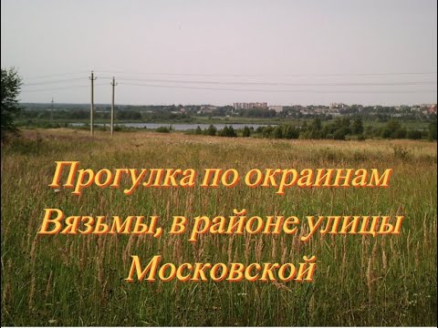 Видео: Прогулка по окраинам Вязьмы  в районе улицы Московской