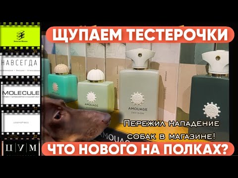 Видео: ПАРФЮМЕРНЫЕ НОВИНКИ / ЧТО НОВОГО НА ПОЛКАХ? СЕНТЯБРЬ🍁 2025 