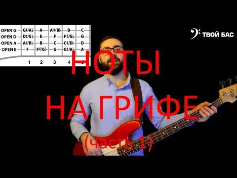 Видео: Ноты на грифе бас гитары (часть1)