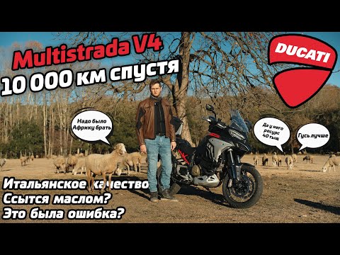 Видео: Multistrada V4 Rally спустя 10 000 км | опыт владельца | мотоцикл не для всех