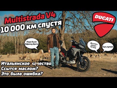 Видео: Multistrada V4 Rally спустя 10 000 км | опыт владельца | мотоцикл не для всех