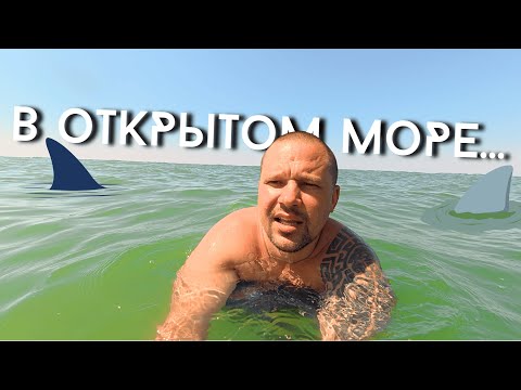 Видео: ПЕРЕЕХАЛИ В ГРУЗИЮ РОВНО 3 ГОДА НАЗАД! Приглашаем на стрим.